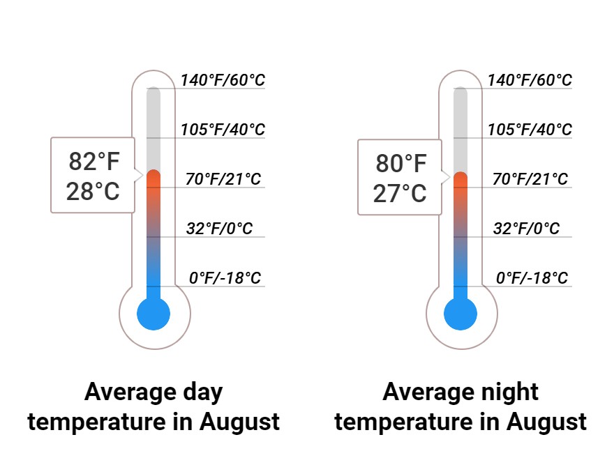 What to do in August in the Bahamas 2024 Winter Sun Expert